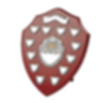 shields cover_edited.jpg